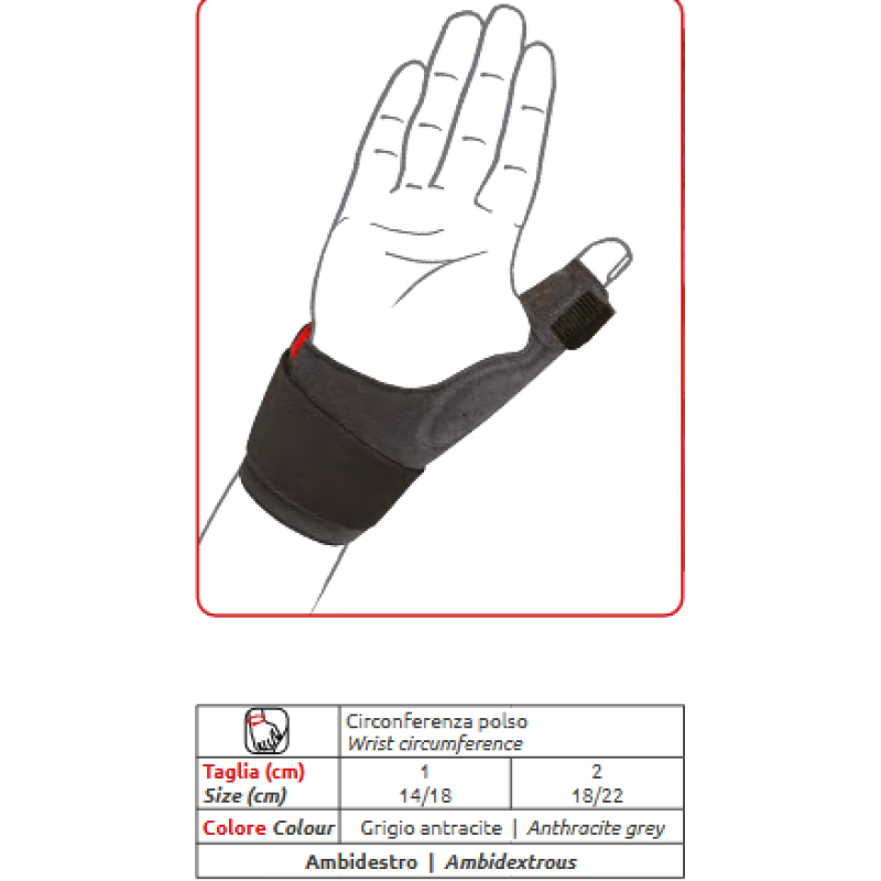 Rhizofit light